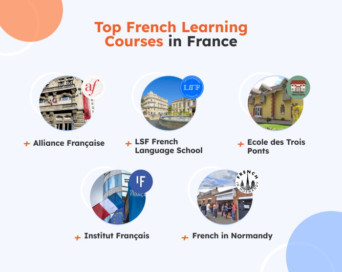top french courses