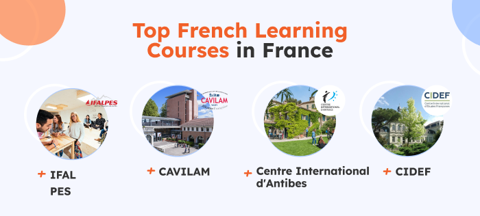 top french courses